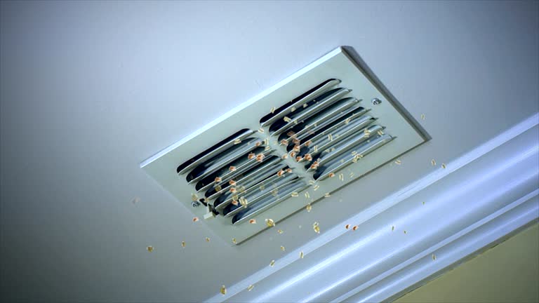 Best Affordable HVAC Duct Cleaning  in Austin, TX