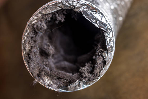 Best Affordable HVAC Duct Cleaning  in Austin, TX